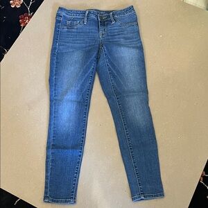 Slim Fit Women's Skinny Jeans in Medium Blue Wash